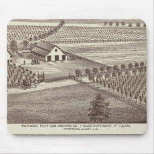 Mousepad fazendas Tulare