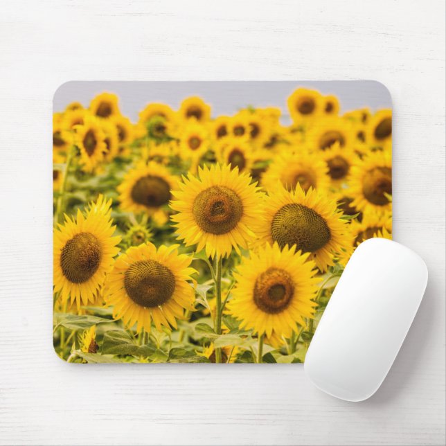 Mousepad Fazendas | Um Campo De Girassol (Com mouse)