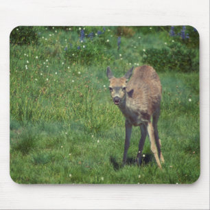 Mousepad Fazer