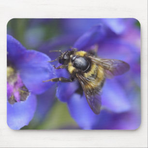 Mousepad Fechamento de Bumblebee