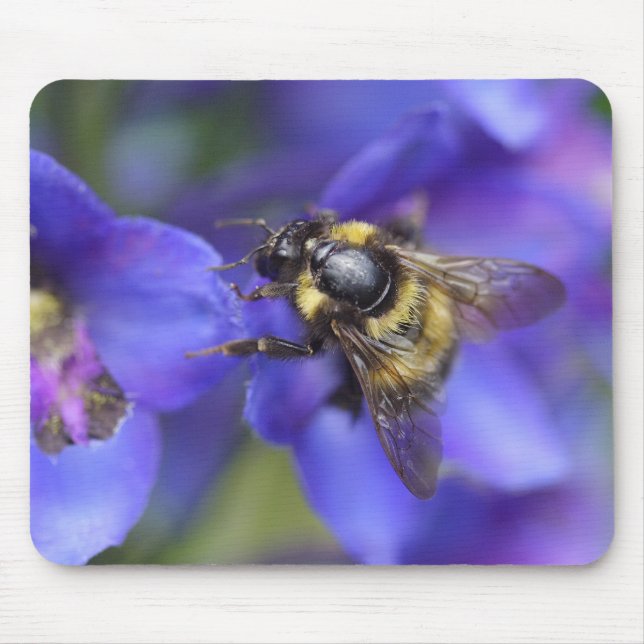 Mousepad Fechamento de Bumblebee (Frente)