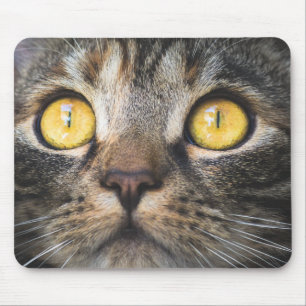 Mousepad Fechamento de Gato com Olhos Amarelos