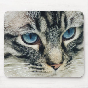 Mousepad Fechamento de Gato de Tábua Azul