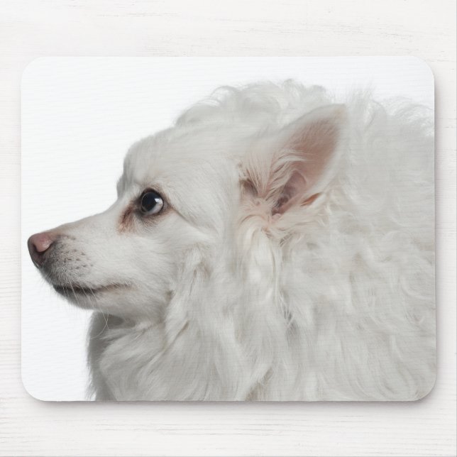 Mousepad Fechamento de Keeshond (10 anos) (Frente)