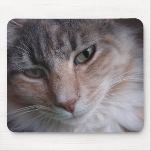 Mousepad Fechamento de Lulu