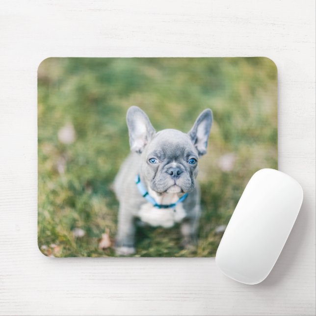 Mousepad Fechamento de um Bulldog Francês (Com mouse)