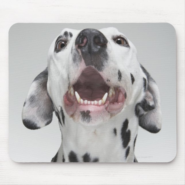 Mousepad Fechamento de um cão Dalmaciano (Frente)
