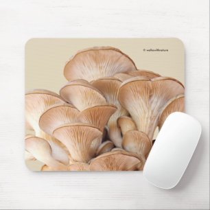 Mousepad Fechamento de uma colônia de mushroom de ostra