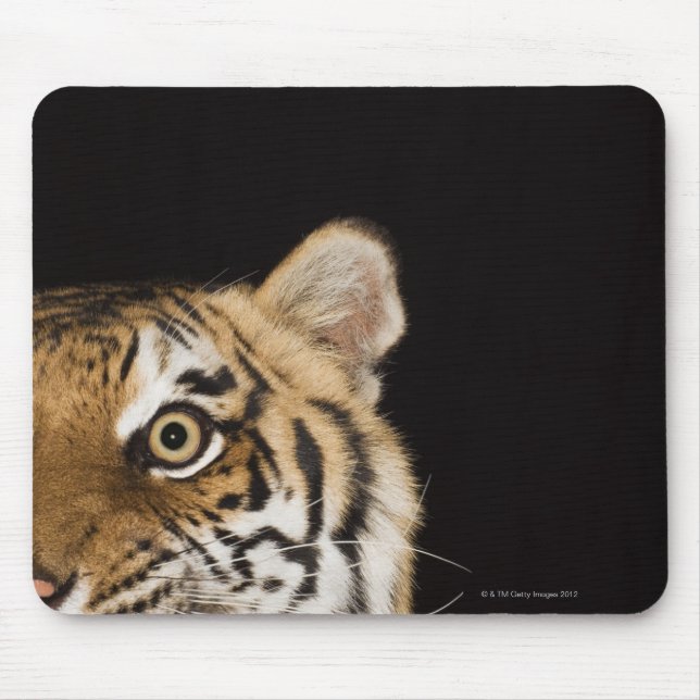 Mousepad Fechar a face do tigre rugindo (Frente)