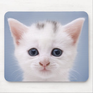 Mousepad Feche acima da imagem predominantemente de um