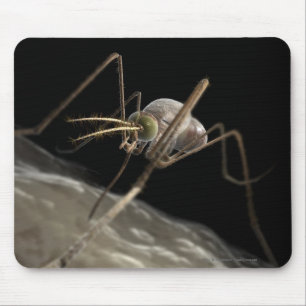 Mousepad Feche acima da mordedura do mosquito 3d