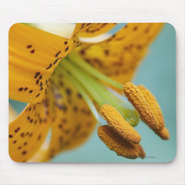 Mousepad Feche acima de um lírio amarelo (Frente)