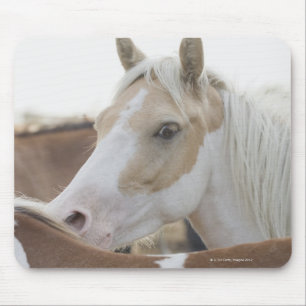 Mousepad Feche acima de um rebanho dos cavalos 2