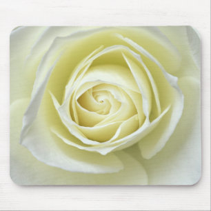 Mousepad Feche os detalhes da rosa branca