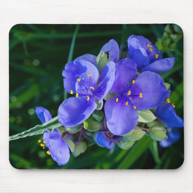 Mousepad Fecho da aranha em sangue de Cheio (Frente)