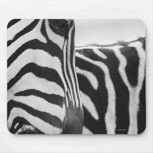 Mousepad Fecho da face e ombro da zebra (Frente)