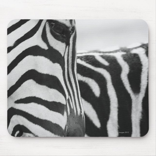 Mousepad Fecho da face e ombro da zebra (Frente)