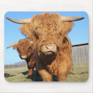 Mousepad Fecho das Vacas Terrestres Escocesas