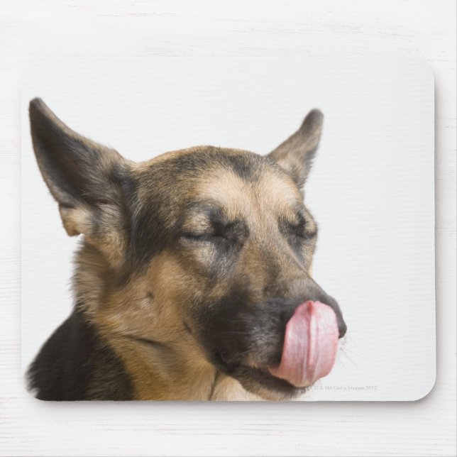 Mousepad Fecho de um German shepherd a lamber o nariz (Frente)