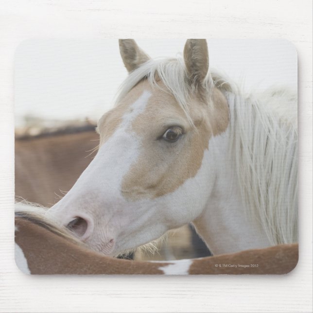 Mousepad Fecho de uma manada de cavalos 2 (Frente)