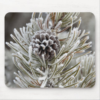 Mousepad Fecho do cone de pinho congelado, Yellowstone