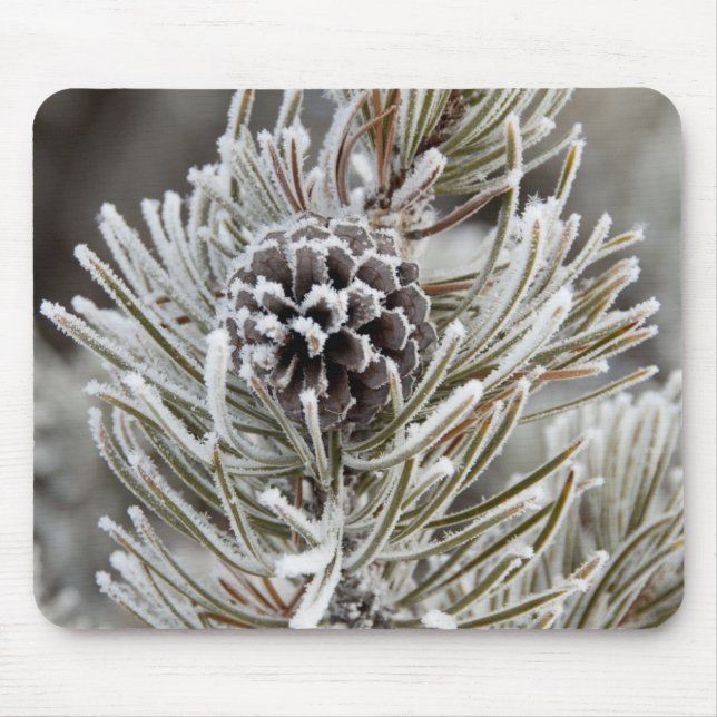 Mousepad Fecho do cone de pinho congelado, Yellowstone (Frente)