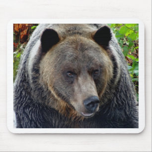 Mousepad Fecho do Urso Grizzly