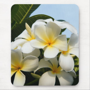 Mousepad Felicidade do Frangipani