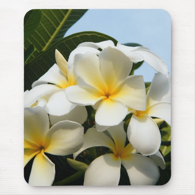 Mousepad Felicidade do Frangipani (Frente)