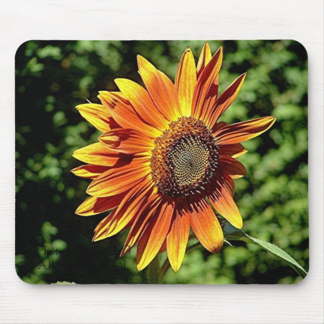 Mousepad "Felicidade na laranja " (Frente)