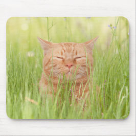 Mousepad Feliz Gato Feliz