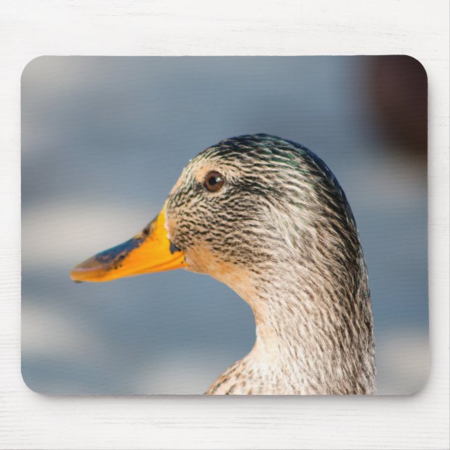 Mousepad Female Mallard (Frente)