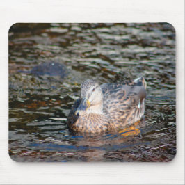 Mousepad Female Mallard