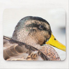 Mousepad Female Mallard