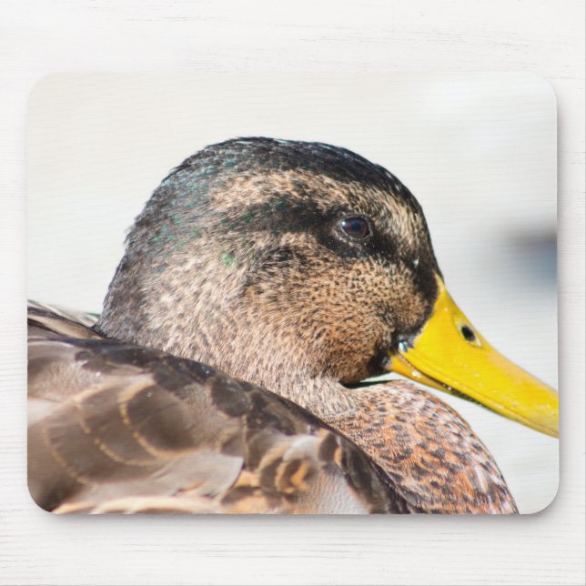 Mousepad Female Mallard (Frente)