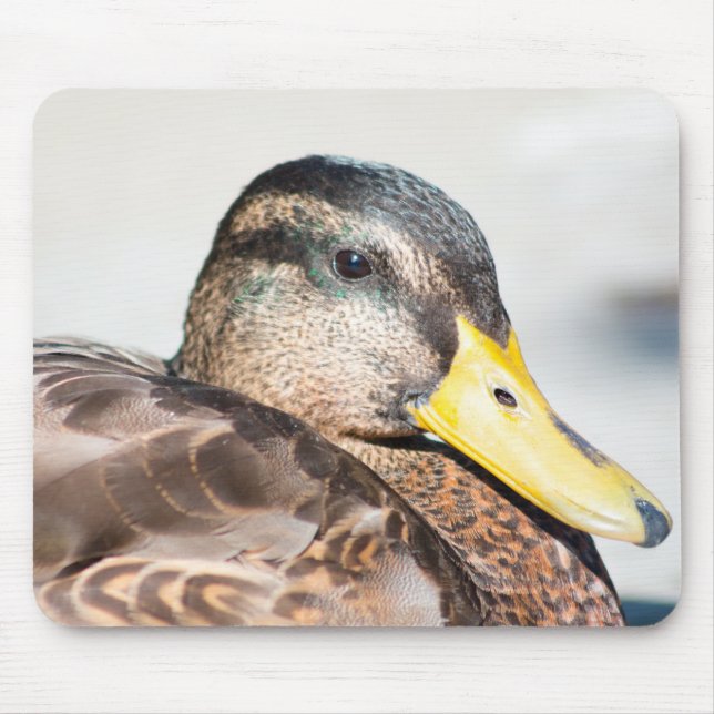 Mousepad Female Mallard (Frente)