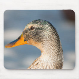 Mousepad Female Mallard