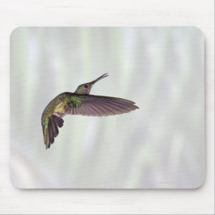 Mousepad fêmea brilhante Verde-coroada do jacula de