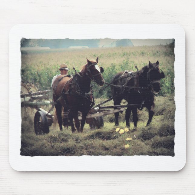 Mousepad Feno do fazer com cavalos (Frente)