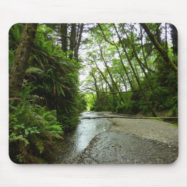 Mousepad Fern Canyon II no Parque Nacional Redwood (Frente)