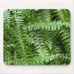 Mousepad Fern Frontes I Green Nature