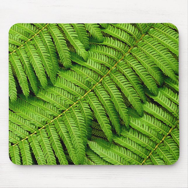Mousepad Fern Leaves (Frente)