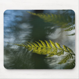 Mousepad Fern Nature Photo