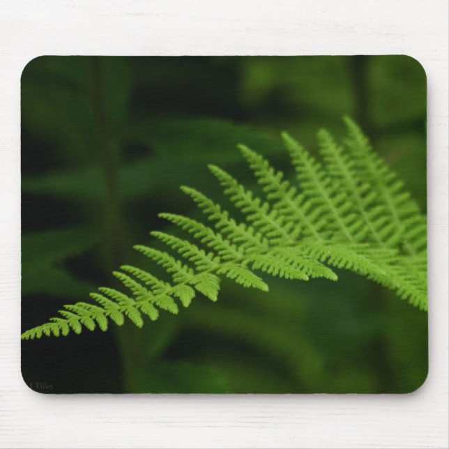 Mousepad Fern P6597 (Frente)