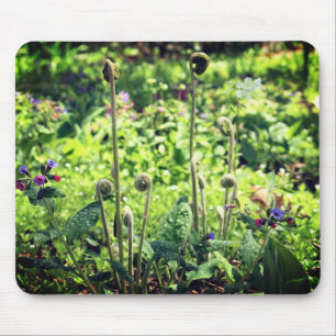 Mousepad Fernos E Flores De Cabeça De Fenda