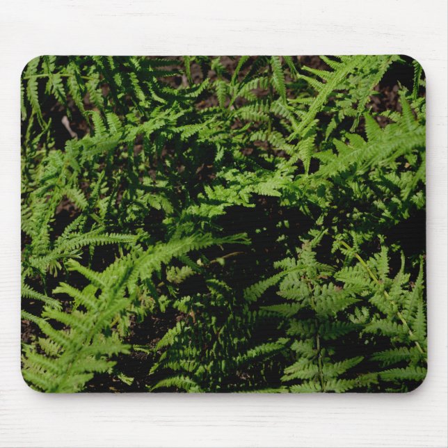 Mousepad Ferns do Chão da Floresta (Frente)