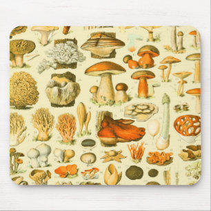 Mousepad Ferramentas de Vintagem de Cogumelo Arte Botânica