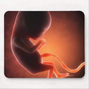 Mousepad Feto velho de dois meses