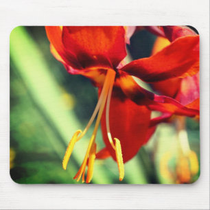Mousepad Fiery Orange Lily Flower