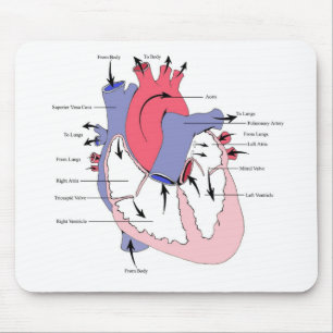 Mousepad Figura 2. coração Function.jpg do Normal